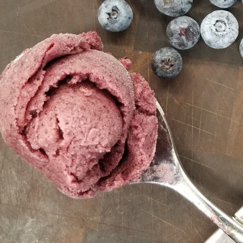 Blueberry Banana Fat Free Ice Cream Skyterra Recipe 8923