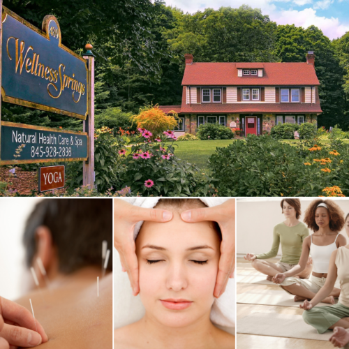 Wellness Springs Holistic Day Spa Highland Mills